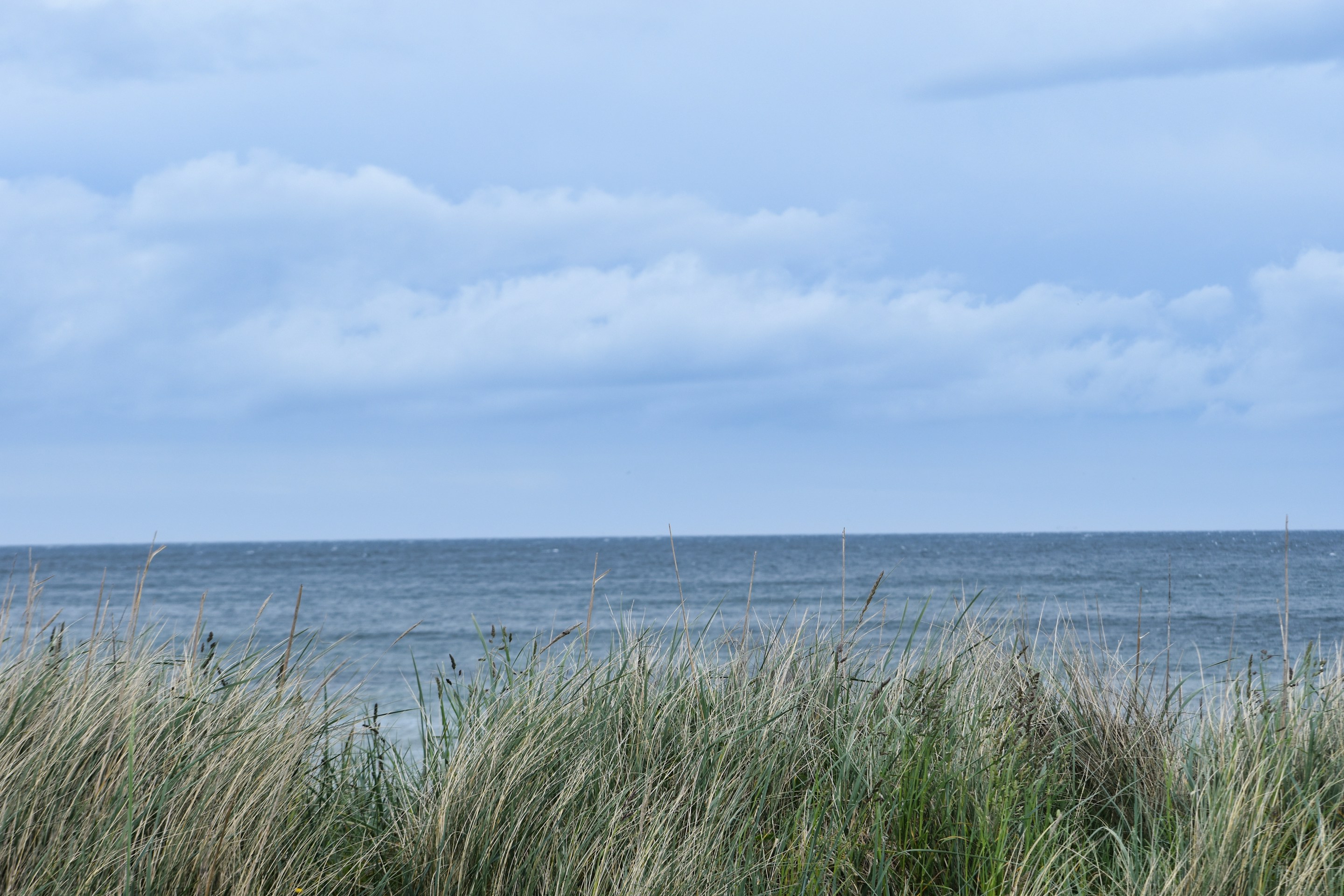 Noosaville hero background