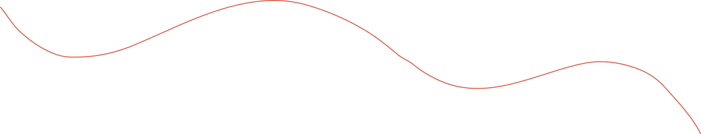 Orange decorative line